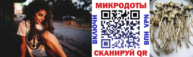 Псилоцибиновые грибы ЛСД  Купить закладки  Белогорск 